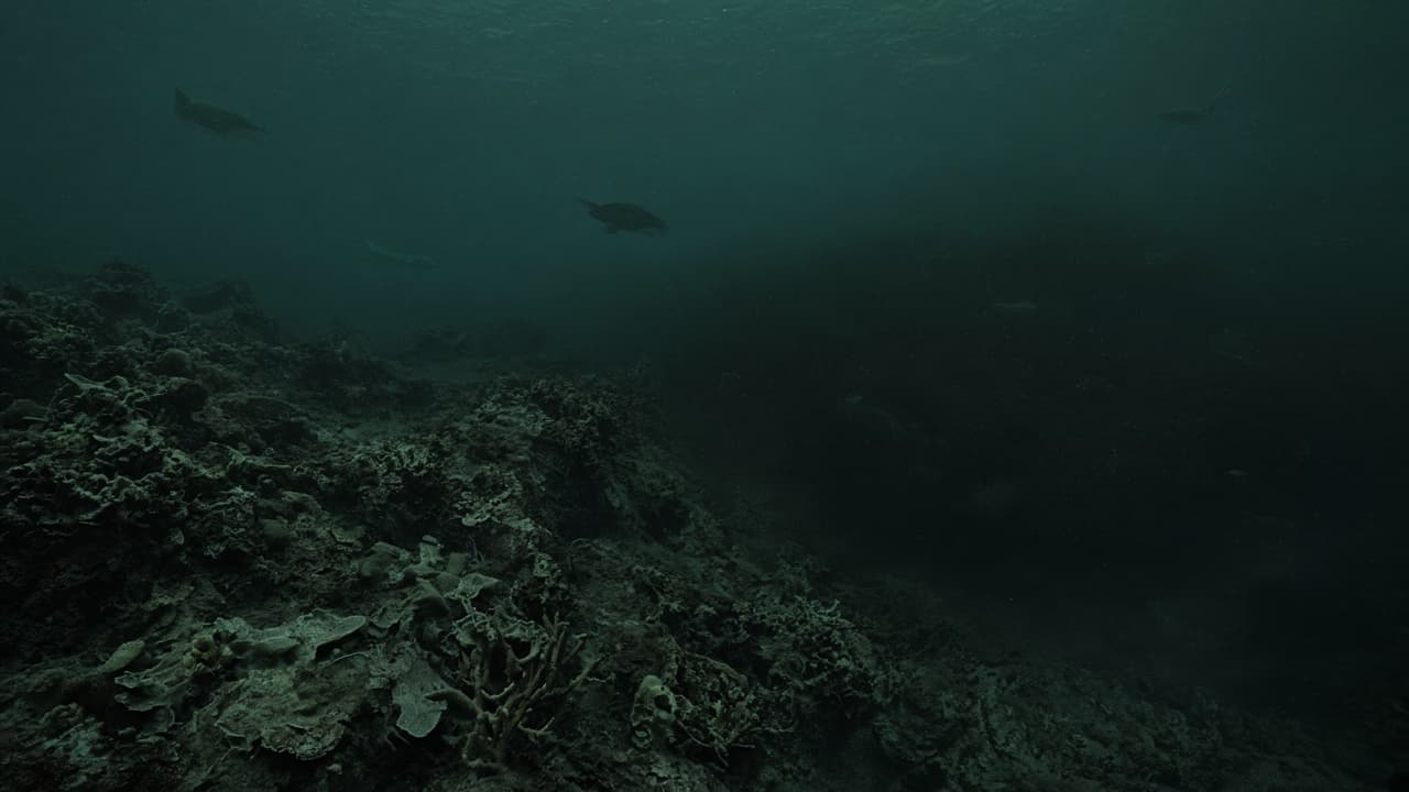 A dying Devonian reef fading into a dark oxygen-starved ocean